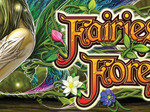 Fairies Forest