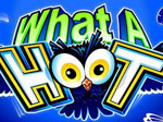 What A Hoot