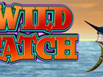 Wild Catch
