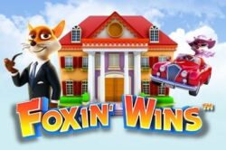 Foxin' Wins