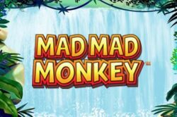 Mad Mad Monkey